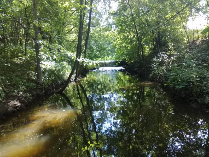 Kohlman Creek