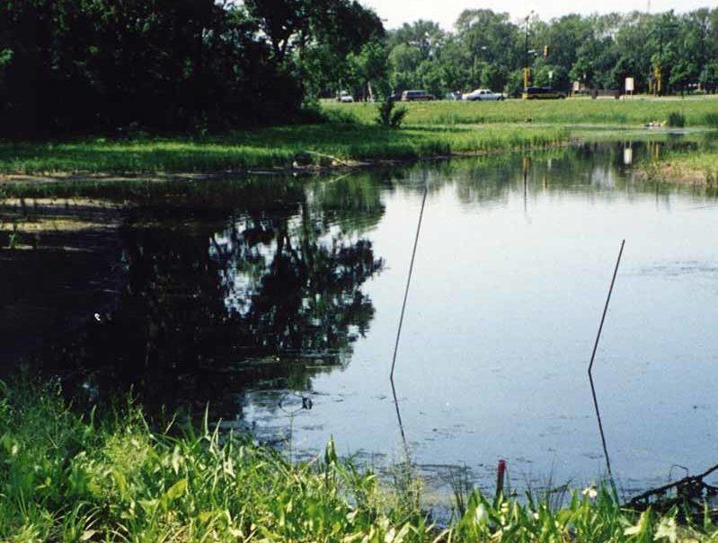 Phalen Wetland Restoration