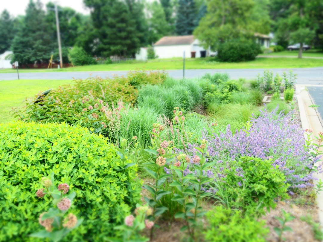 Weaver Elementary School RamseyWashington Metro Watershed District