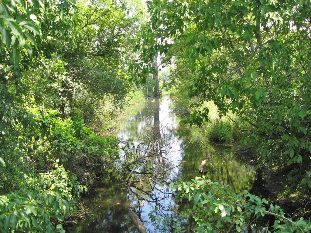 Willow Creek RamseyWashington Metro Watershed District