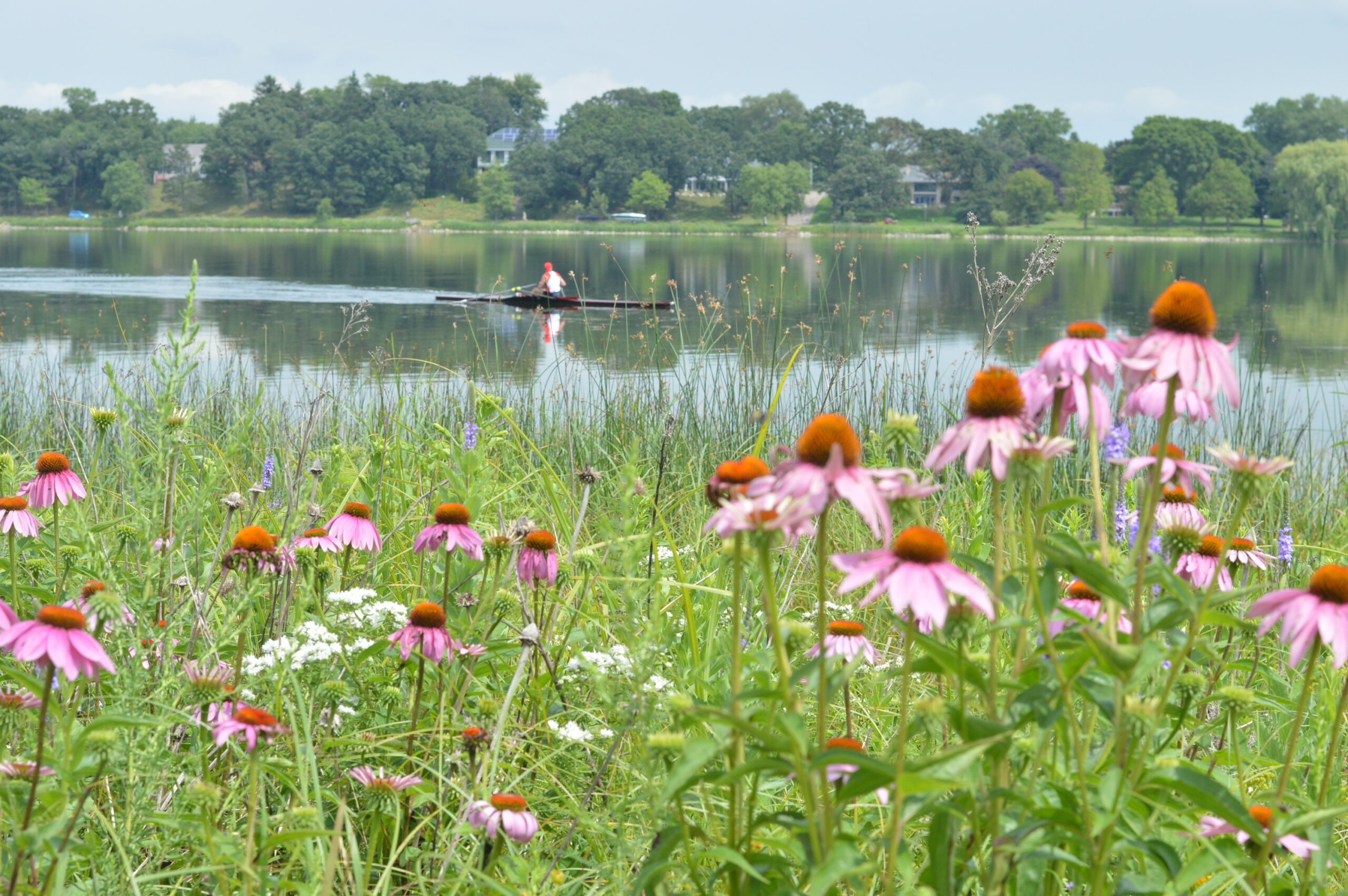 Lake Phalen - Ramsey-Washington Metro Watershed District