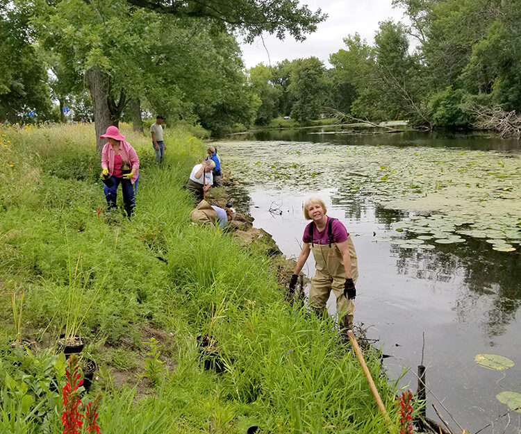 CAC members in waders and along the shoreline of Keller Creek planting native plants