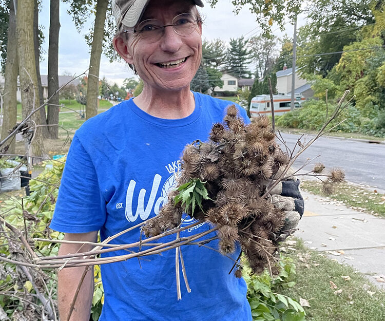CAC member holding a large collection of burdock seed.