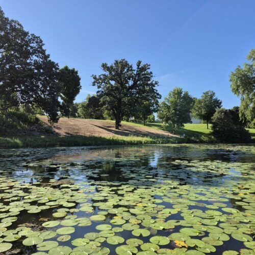 Keller Regional Park