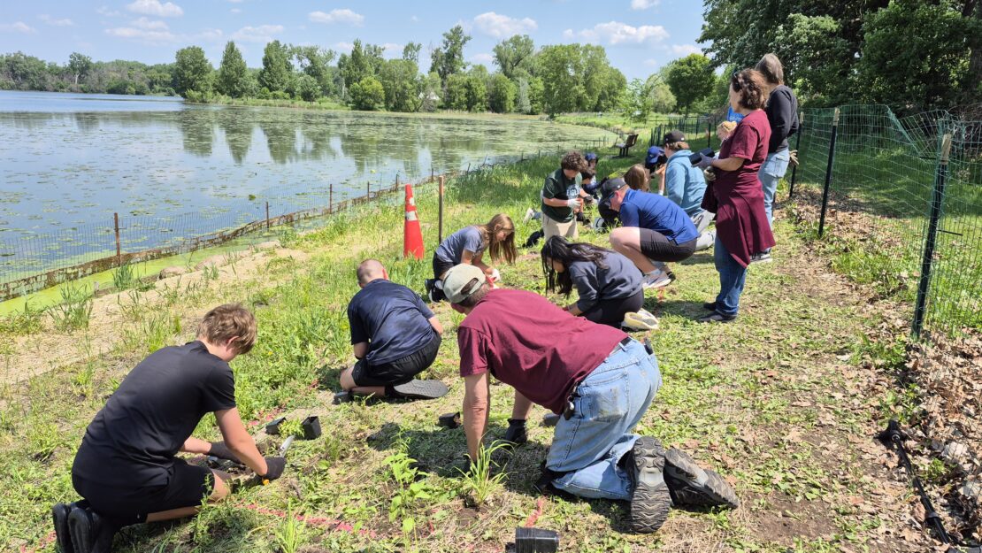 A group of people kneel by a lake, planting seedlings under a clear blue sky. The scene is vibrant with greenery.