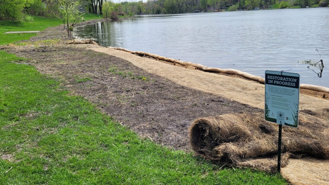 Lake shoreline restoration area with straw erosion control blankets and a sign indicating restoration in progress.