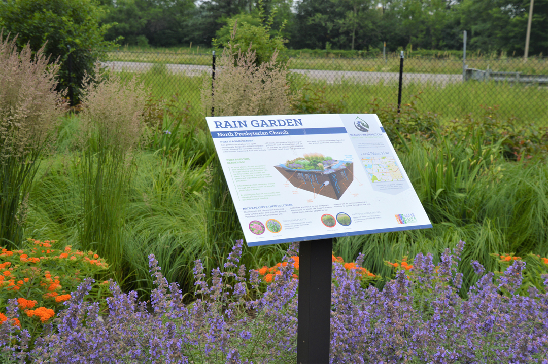 Rain garden sign and blooms