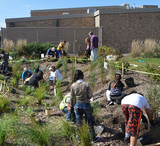 Students planting the rain garden at Weaver Elementary School